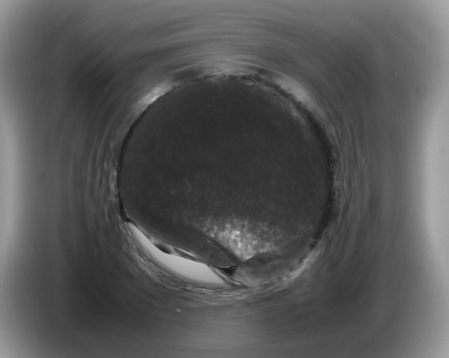 X0000086260881200704261954