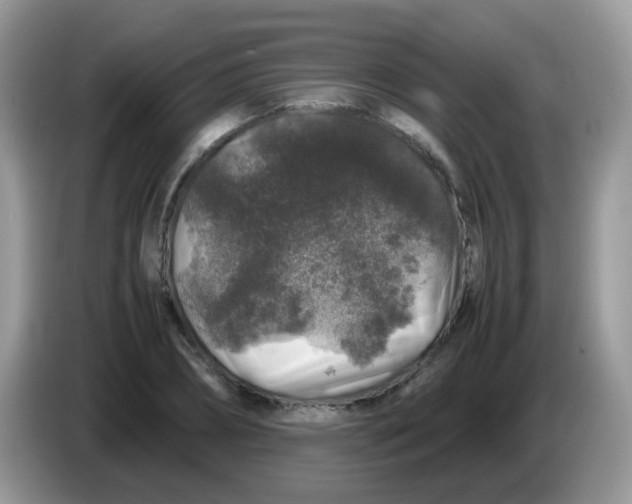 X0000086260882200704261953