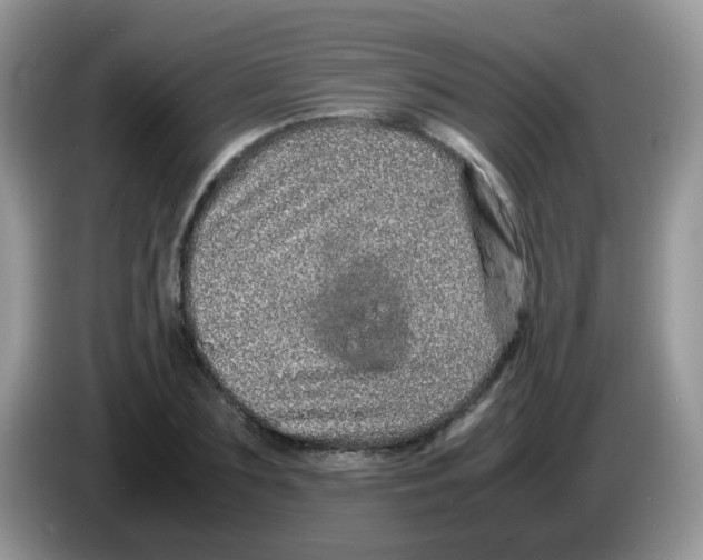 X0000086260883200704261953