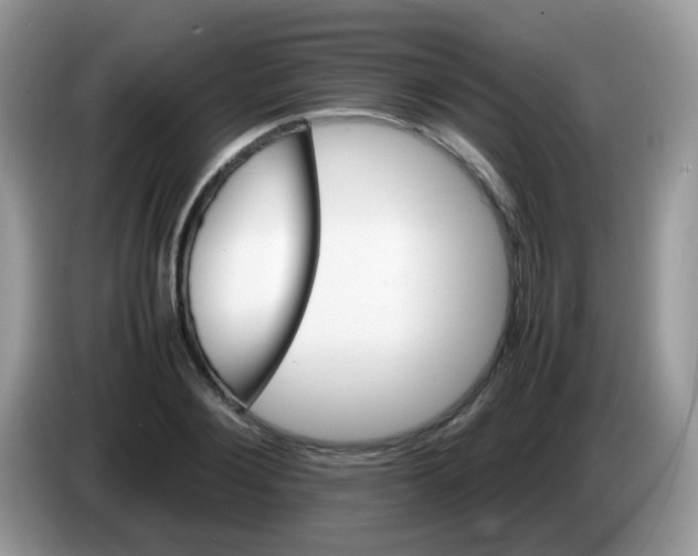 X0000086260884200704261953