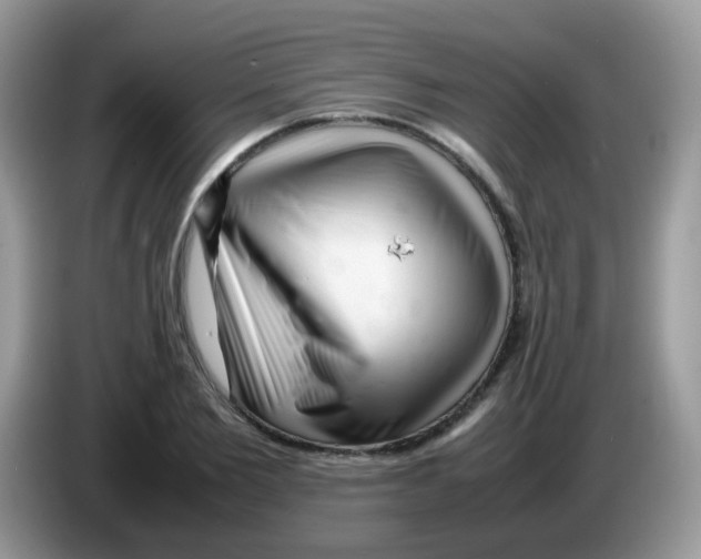 X0000086260885200704261953