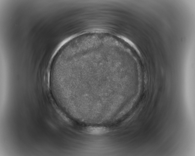 X0000086260886200704261953