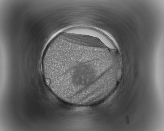 X0000086260887200704261953