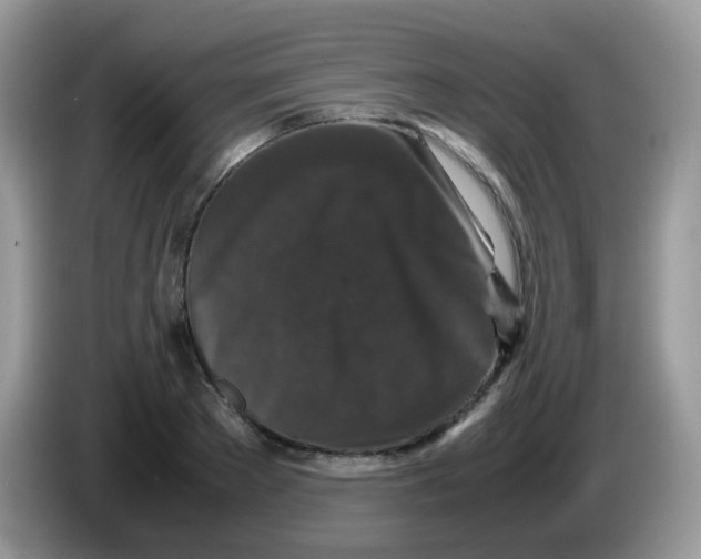 X0000086260889200704261953