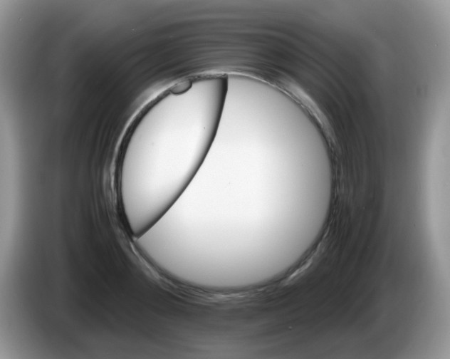 X0000086260892200704261953