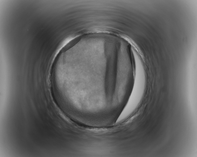 X0000086260893200704261953