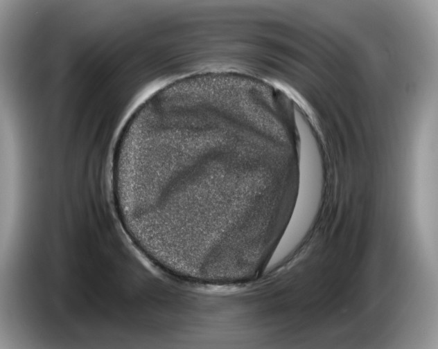 X0000086260894200704261953