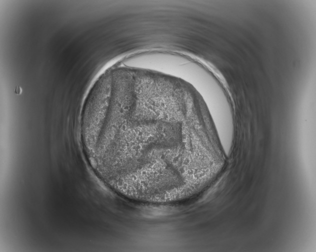 X0000086260895200704261953