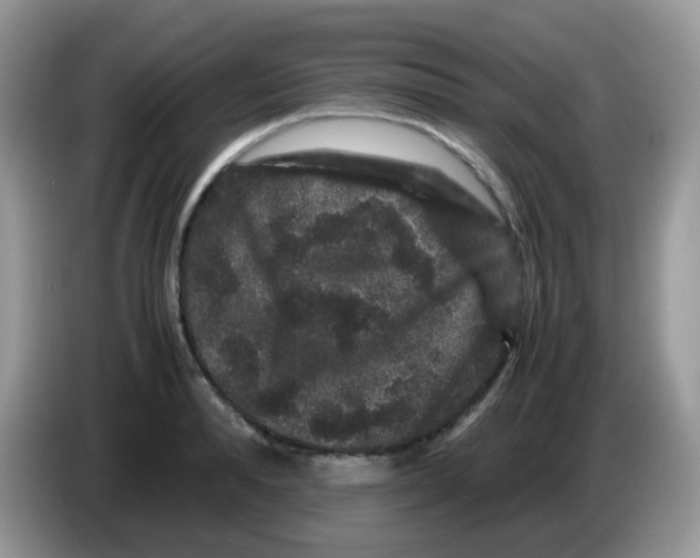 X0000086260896200704261953