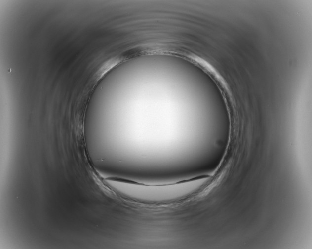 X0000086260897200704261953