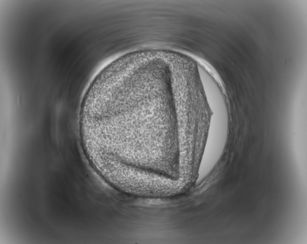 X0000086260903200704261953