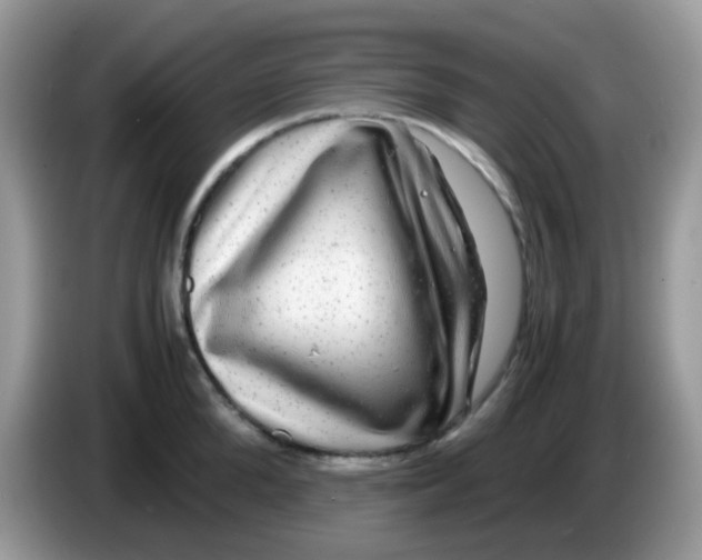 X0000086260904200704261953