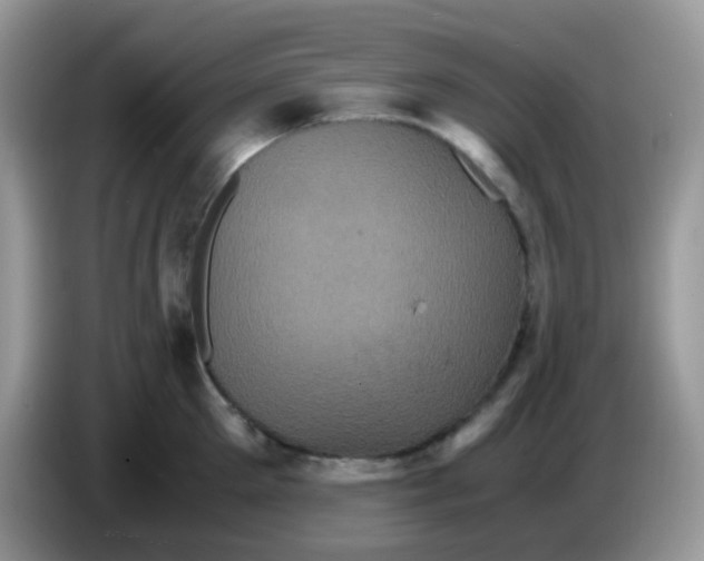 X0000086260905200704261953