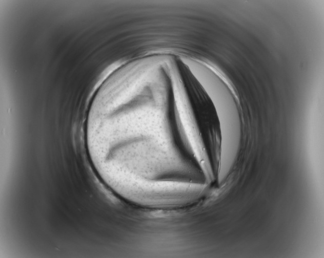 X0000086260906200704261953