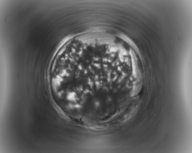 X0000086260907200704261953