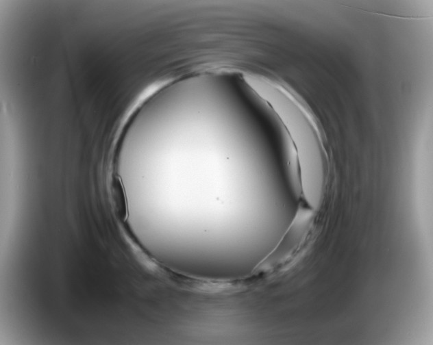 X0000086260909200704261953