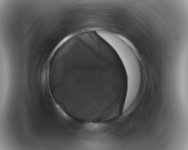 X0000086260910200704261953