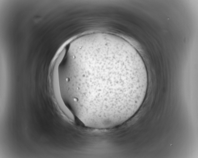 X0000086260912200704261953