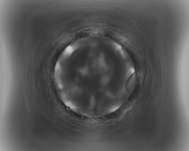 X0000086260913200704261952