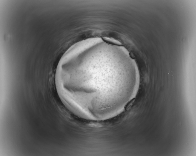 X0000086260914200704261953