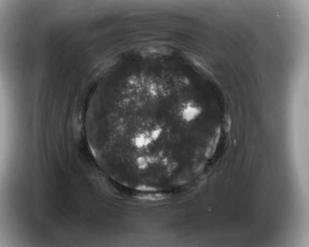 X0000086260915200704261953