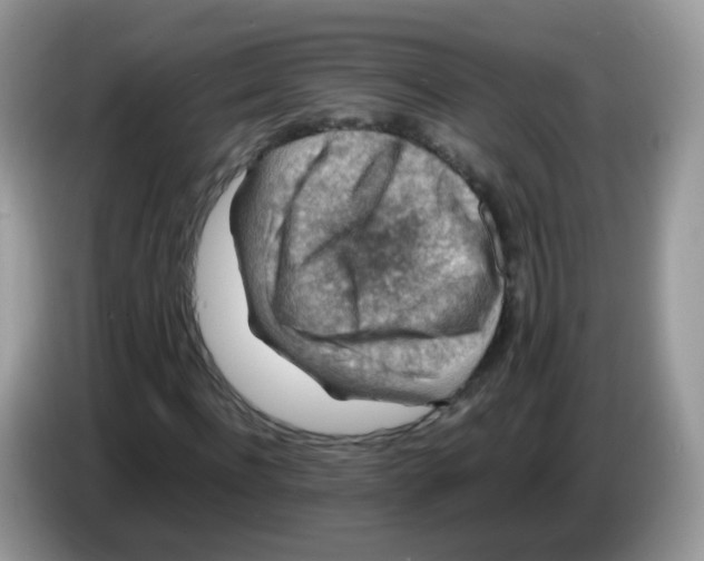 X0000086260916200704261953