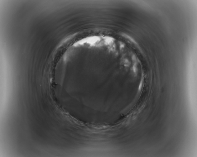 X0000086260919200704261953