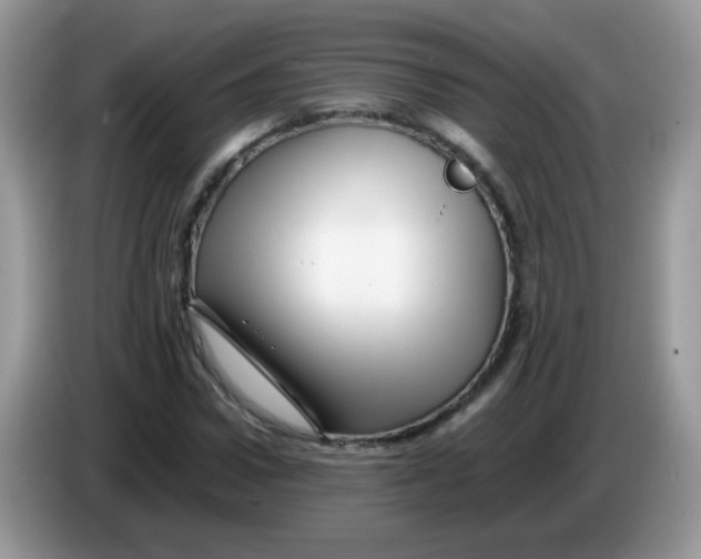 X0000086260922200704261953