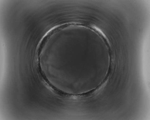 X0000086260923200704261953