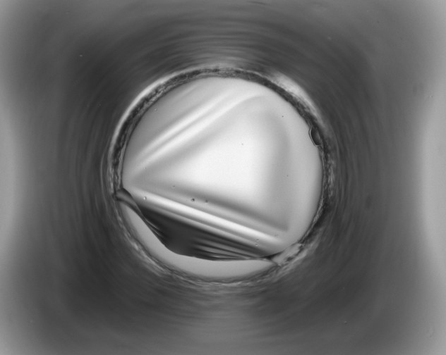 X0000086260924200704261953