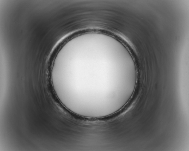 X0000086260926200704261953