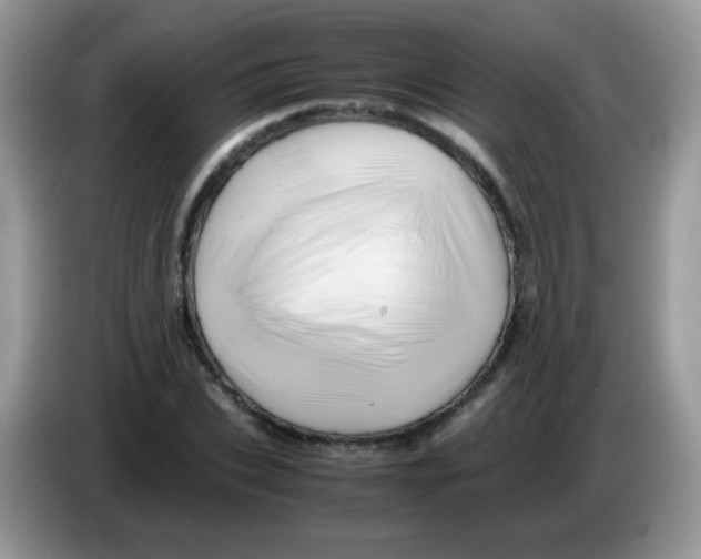 X0000086260927200704261953