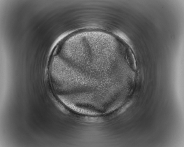 X0000086260928200704261953