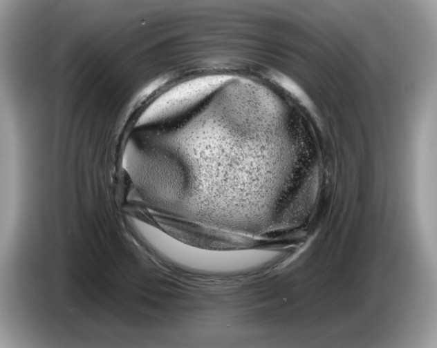 X0000086260930200704261953