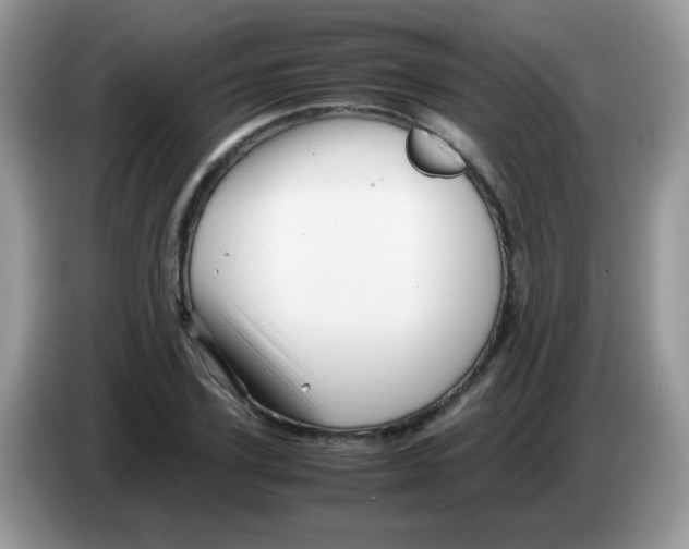 X0000086260931200704261953