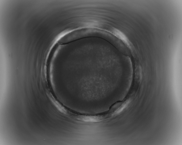 X0000086260932200704261953