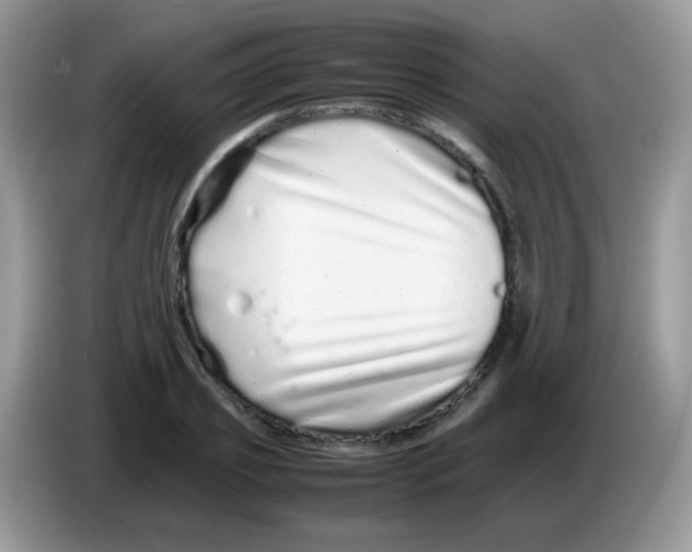 X0000086260933200704261953