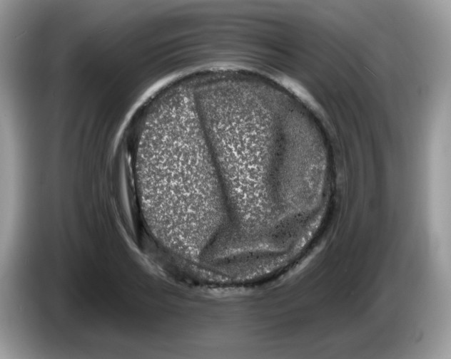 X0000086260934200704261953