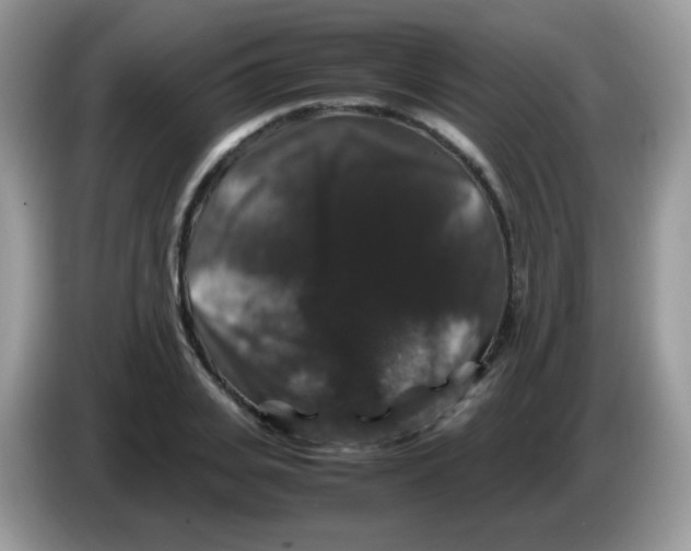 X0000086260935200704261953