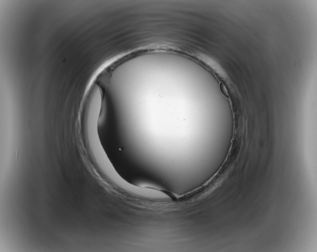 X0000086260936200704261953