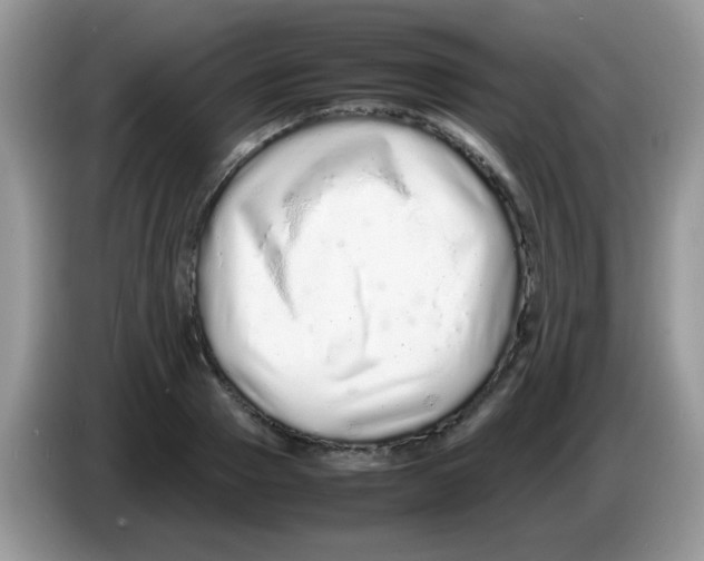 X0000086260937200704261953