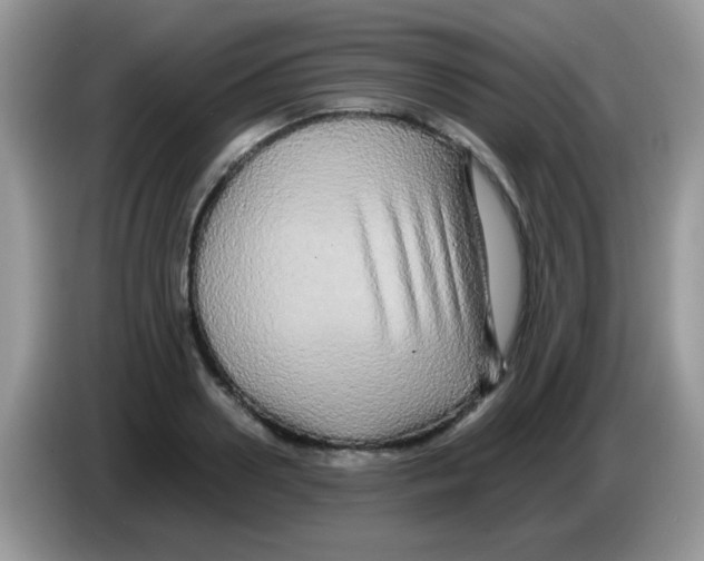 X0000086260938200704261953