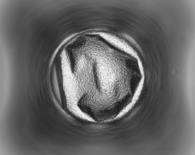 X0000086260939200704261953