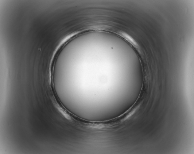 X0000086260940200704261953