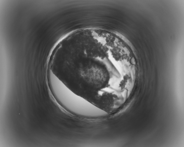 X0000086260941200704261953