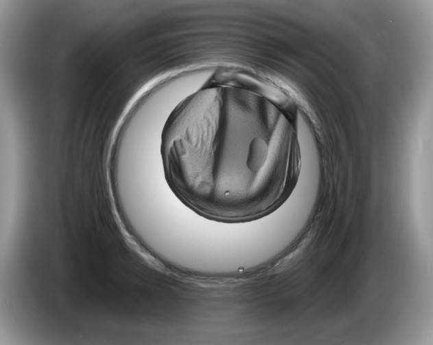 X0000086260942200704261953