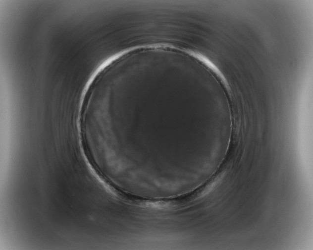 X0000086260943200704261953