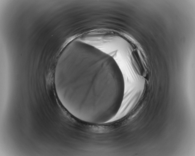 X0000086260945200704261953