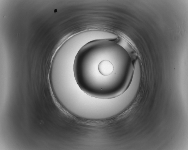 X0000086260946200704261953