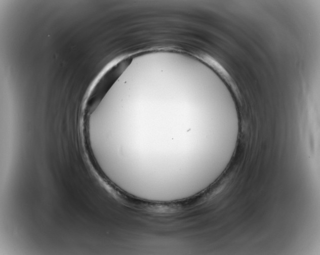 X0000086260947200704261953